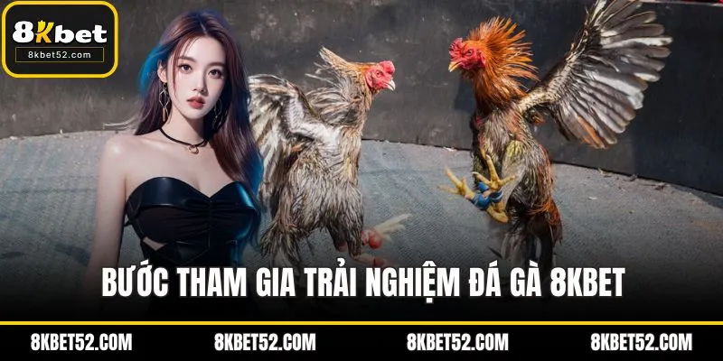 Bước tham gia trải nghiệm đá gà 8KBET